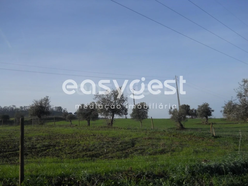Terreno Agricola ou Rústico para Venda em Aljustrel e Rio de Moinhos Foto 3