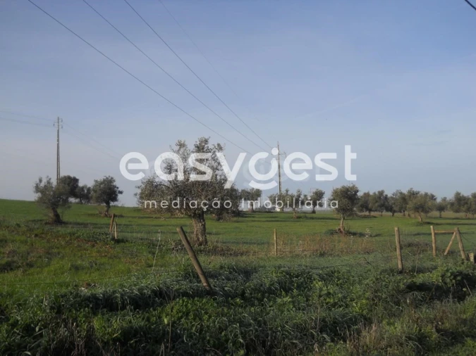 Terreno Agricola ou Rústico para Venda em Aljustrel e Rio de Moinhos
