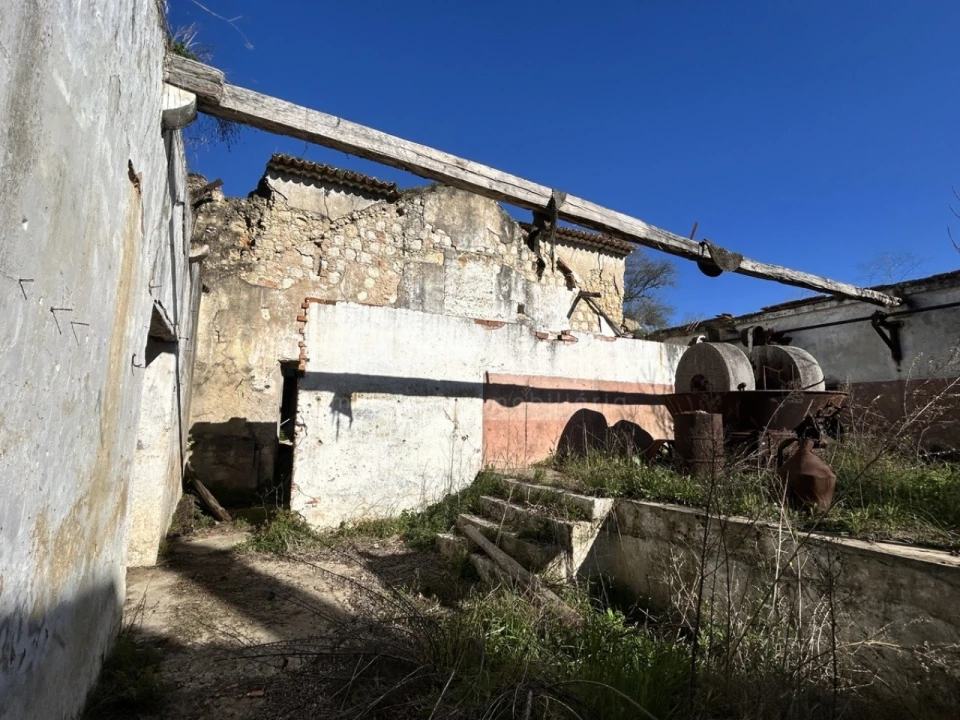 Terreno para Venda em Rio Maior Foto 3