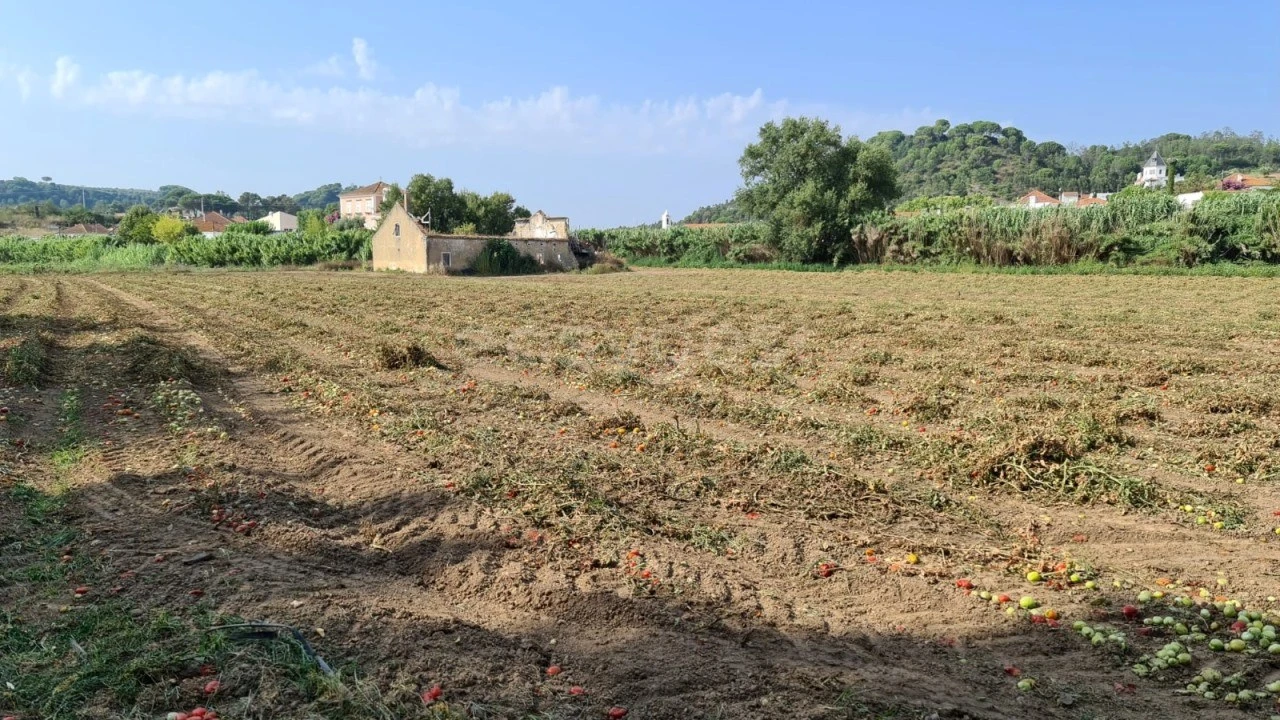 Terreno para Venda em Rio Maior Foto 8