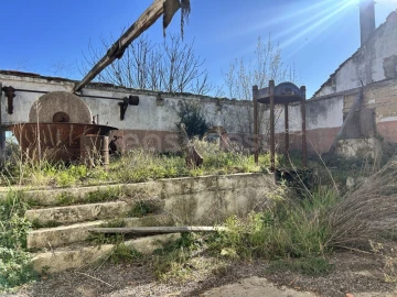 Terreno para Venda em Rio Maior