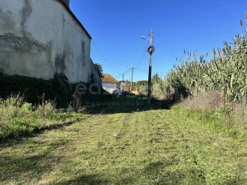 Terreno para Venda em Rio Maior