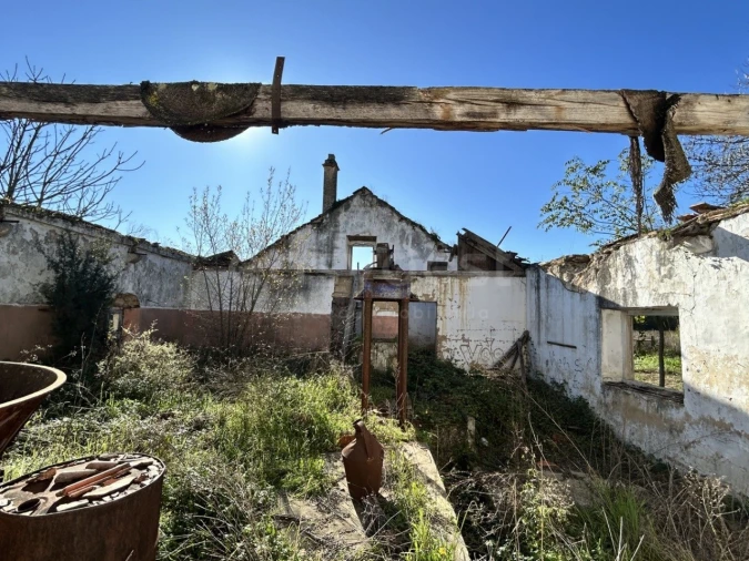 Terreno para Venda em Rio Maior Foto 5