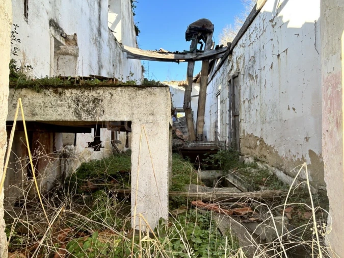Terreno para Venda em Rio Maior Foto 6
