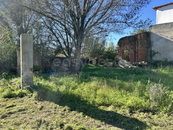 Terreno para Venda em Rio Maior Foto 7