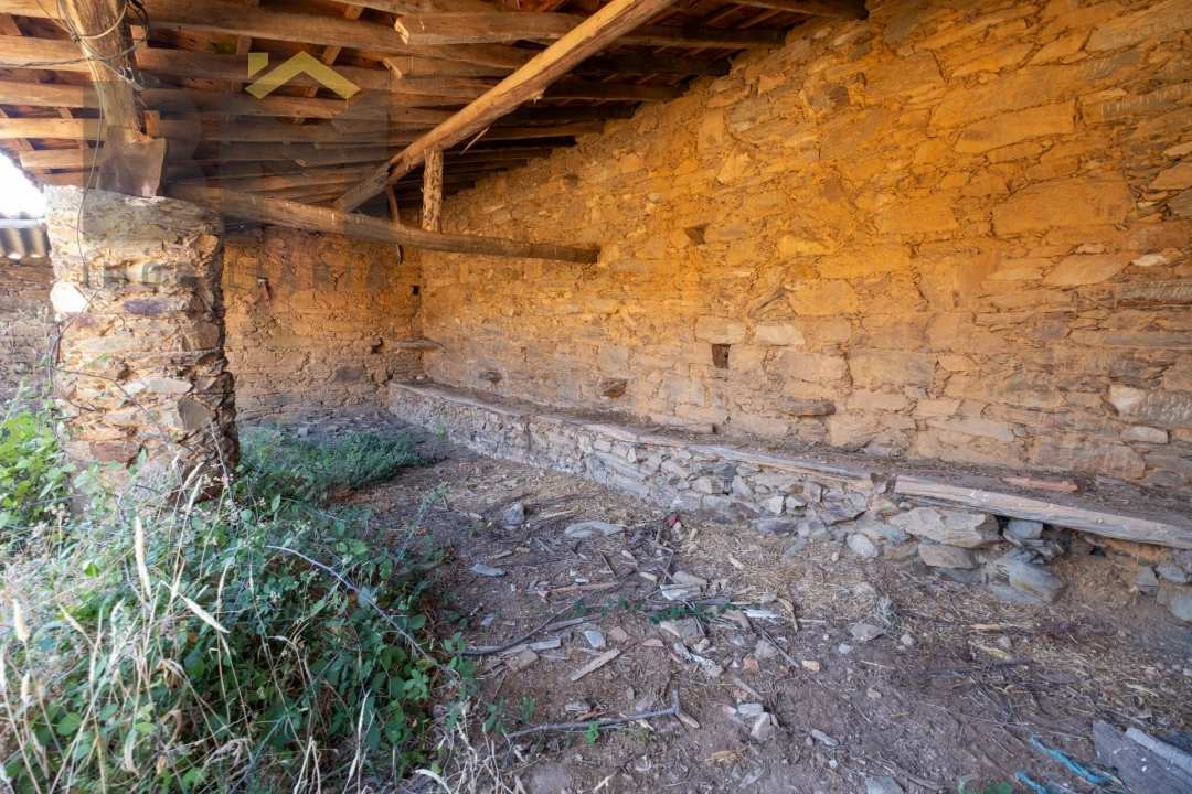 Quinta T0 para Venda em Sarzedas Foto 15