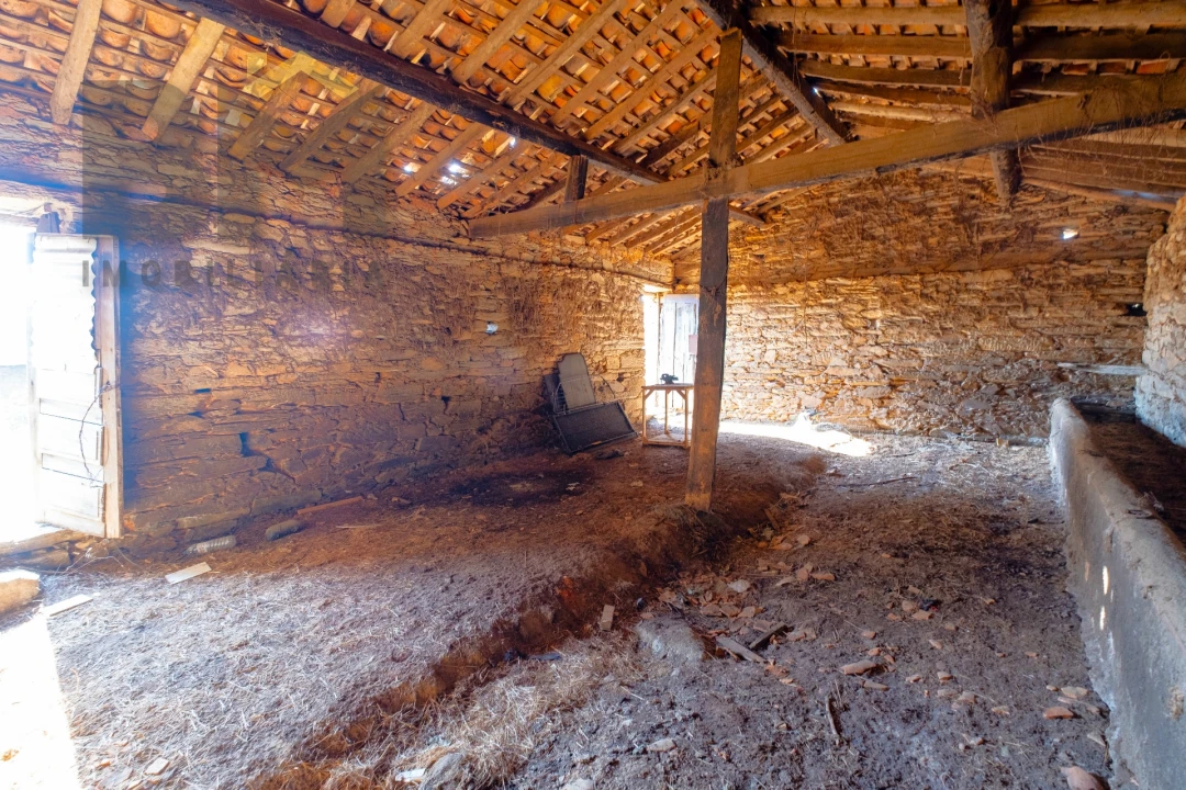 Quinta T0 para Venda em Sarzedas Foto 7