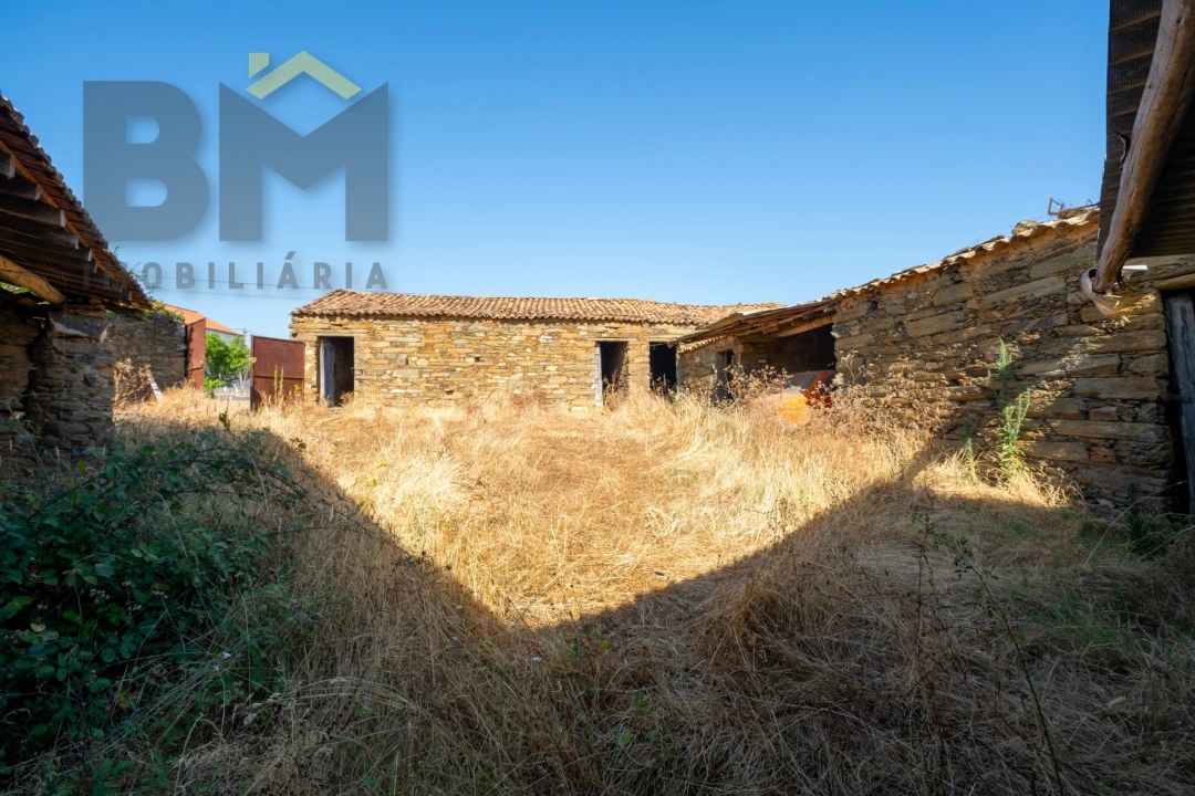 Quinta T0 para Venda em Sarzedas Foto 6