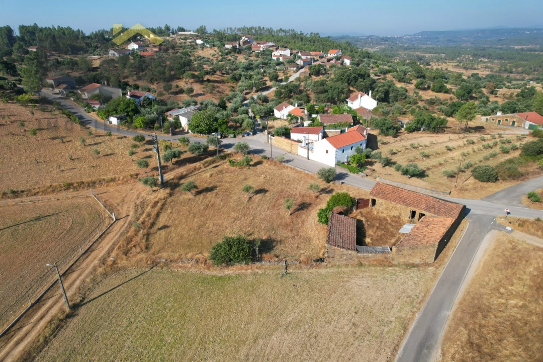 Quinta T0 para Venda em Sarzedas Foto 21