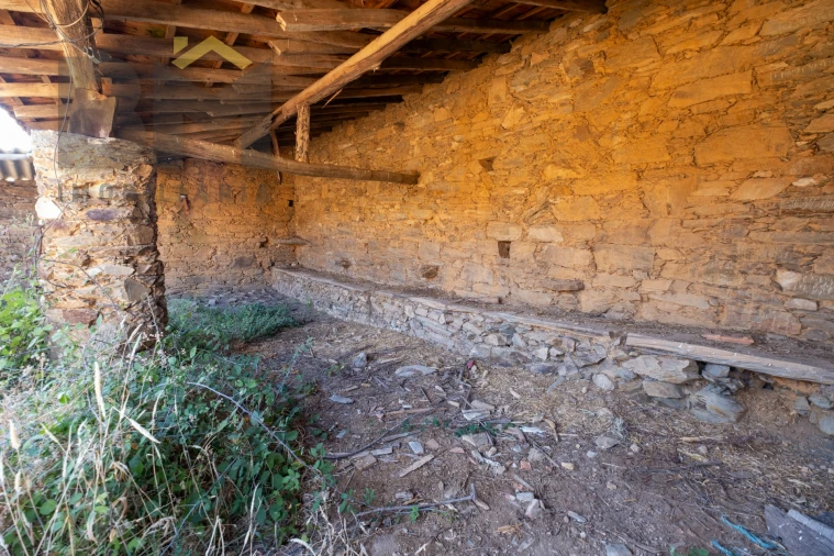 Quinta T0 para Venda em Sarzedas Foto 15