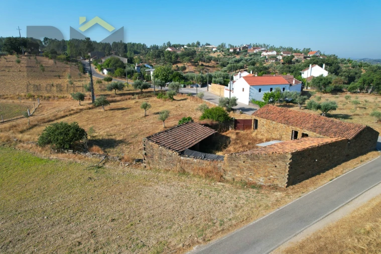 Quinta T0 para Venda em Sarzedas Foto 22