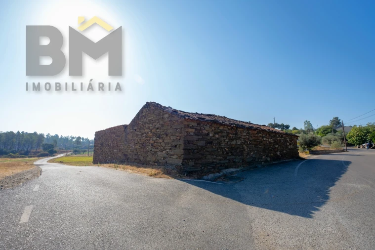 Quinta T0 para Venda em Sarzedas Foto 17