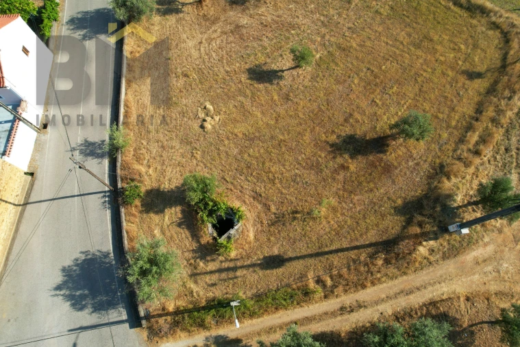 Quinta T0 para Venda em Sarzedas Foto 19