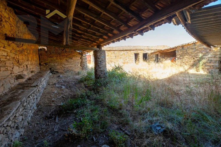 Quinta T0 para Venda em Sarzedas Foto 13