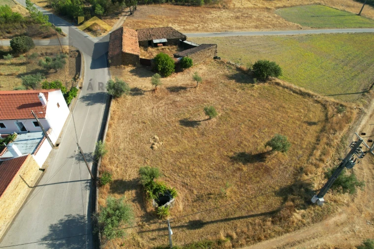 Quinta T0 para Venda em Sarzedas Foto 18