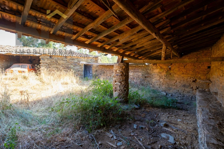 Quinta T0 para Venda em Sarzedas Foto 14