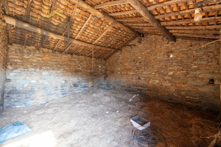 Quinta T0 para Venda em Sarzedas Foto 10