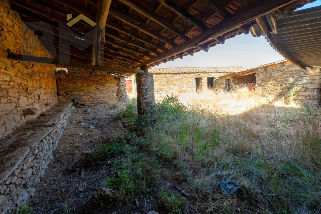 Quinta T0 para Venda em Sarzedas Foto 13