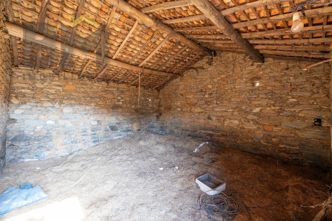Quinta T0 para Venda em Sarzedas Foto 10