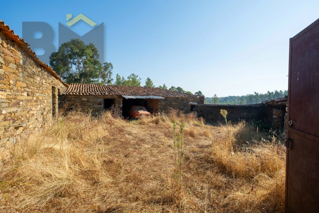 Quinta T0 para Venda em Sarzedas Foto 5