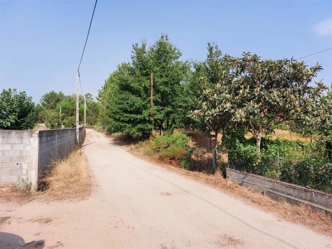 Terreno para Venda em Fornos de Maceira Dão Foto 8