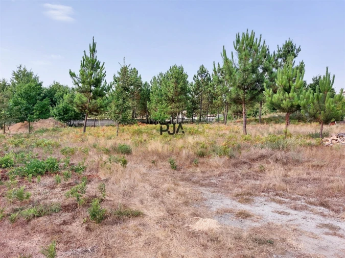 Terreno para Venda em Fornos de Maceira Dão Foto 7
