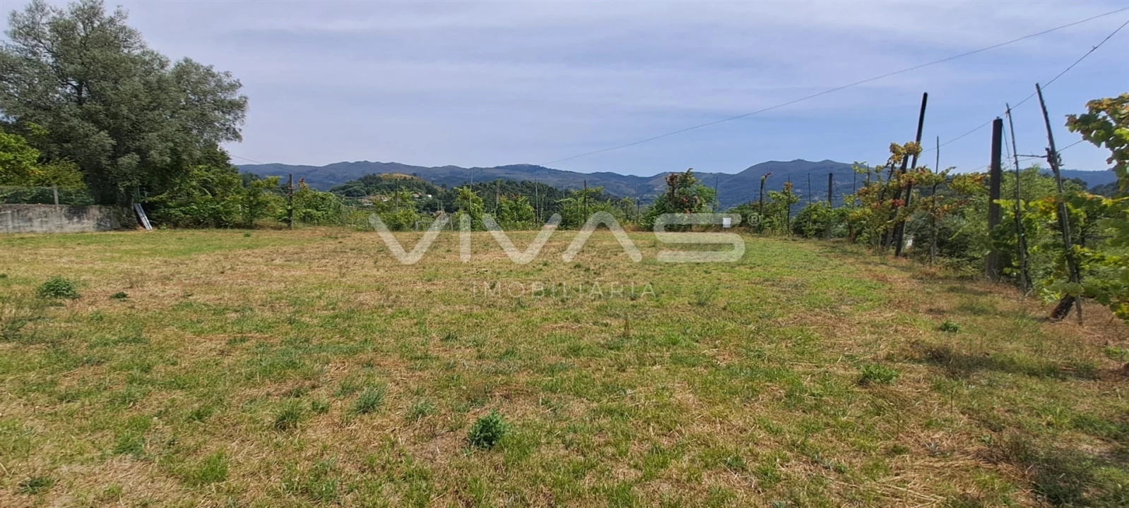 Terreno para Venda em Valdreu Foto 2