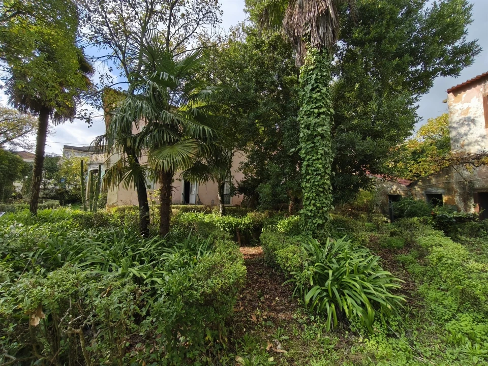 Moradia T10 para Venda em Arcos e Mogofores Foto 39