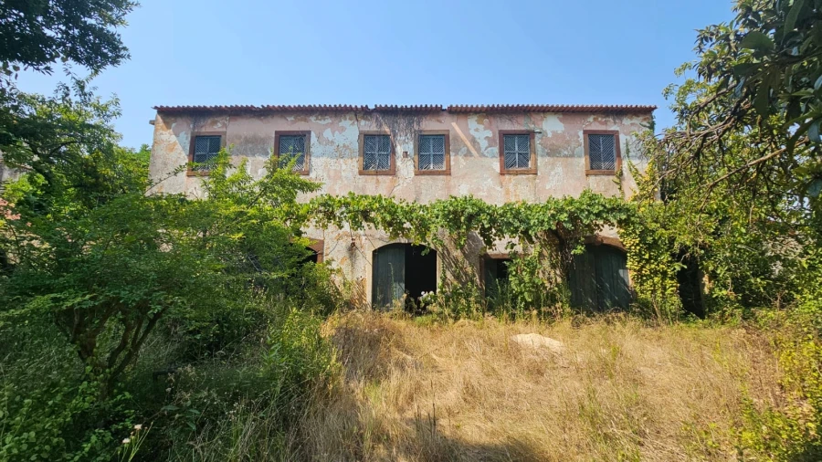 Moradia T10 para Venda em Arcos e Mogofores Foto 12