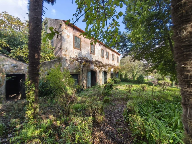 Moradia T10 para Venda em Arcos e Mogofores Foto 11