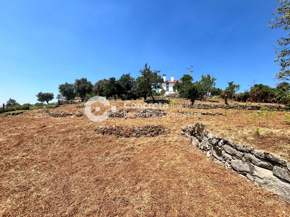Terreno para Venda em Creixomil e Mariz Foto 7