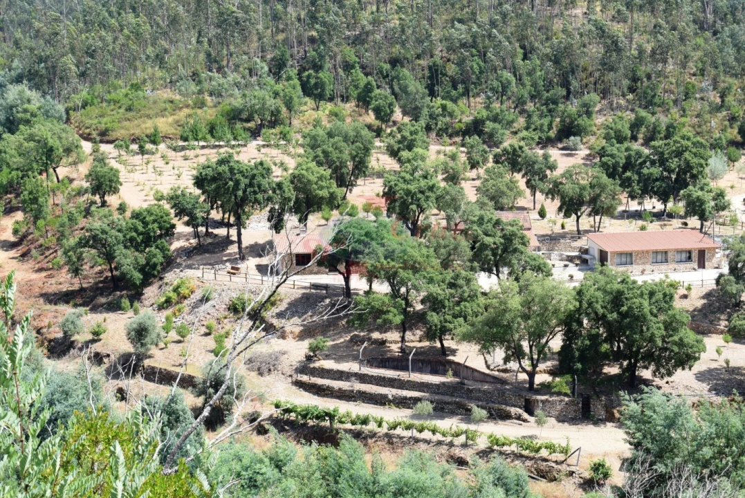 Quinta T2 para Venda em Lavegadas Foto 1