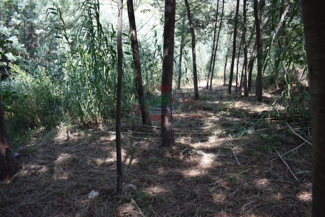 Quinta T2 para Venda em Lavegadas Foto 18