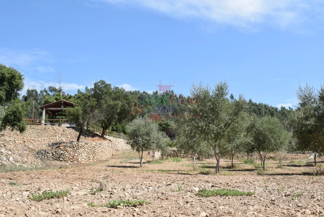 Quinta T2 para Venda em Lavegadas Foto 23