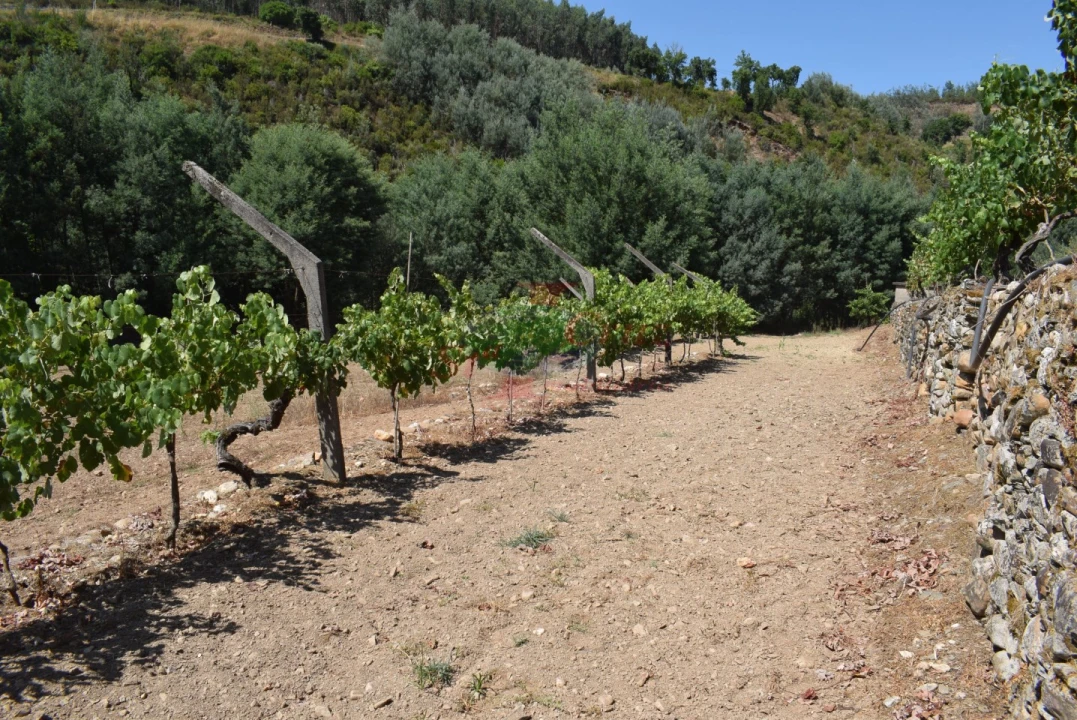 Quinta T2 para Venda em Lavegadas Foto 25