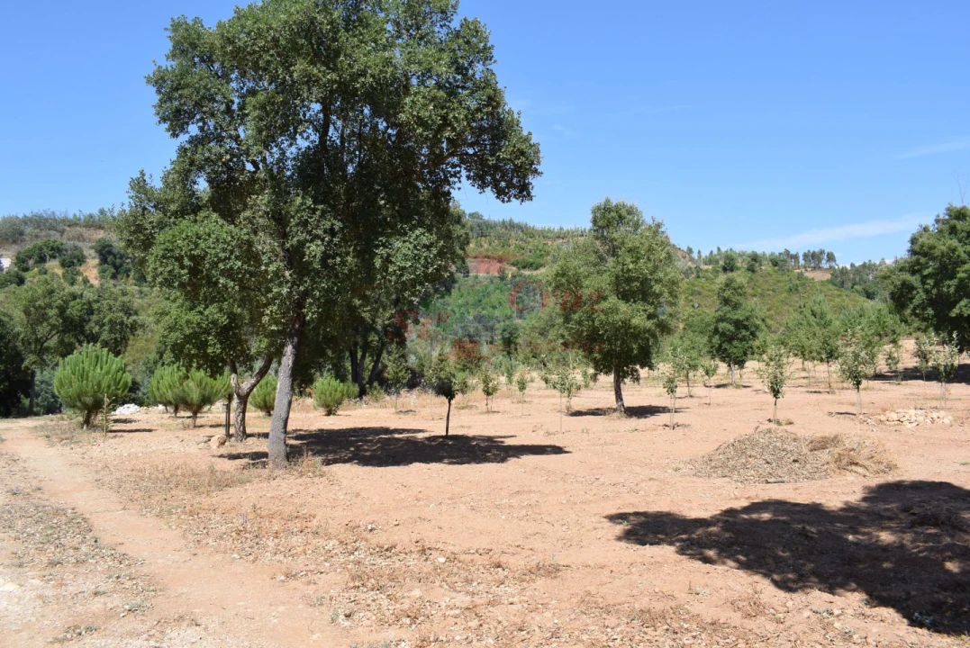 Quinta T2 para Venda em Lavegadas Foto 37