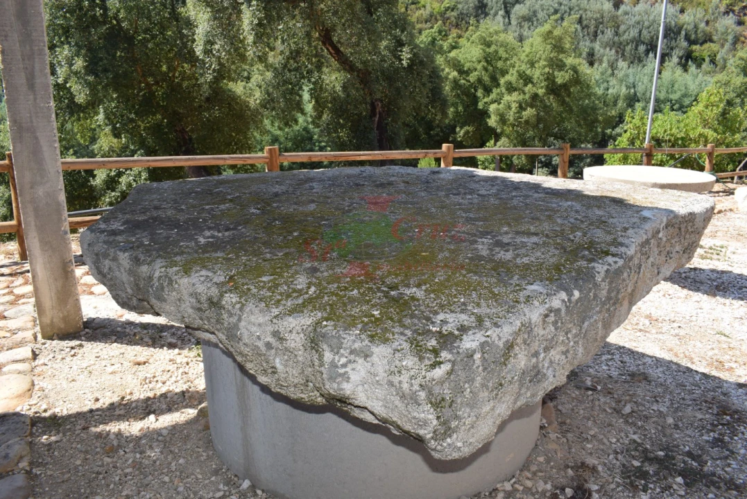 Quinta T2 para Venda em Lavegadas Foto 60