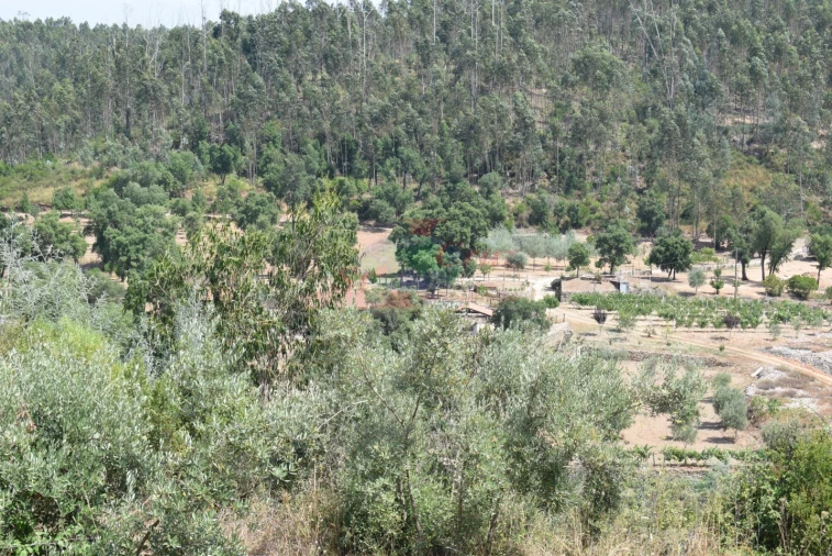 Quinta T2 para Venda em Lavegadas Foto 2