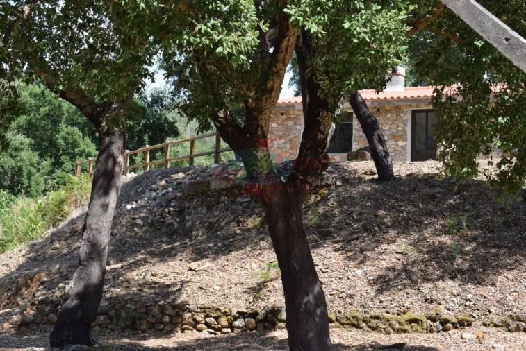 Quinta T2 para Venda em Lavegadas Foto 6