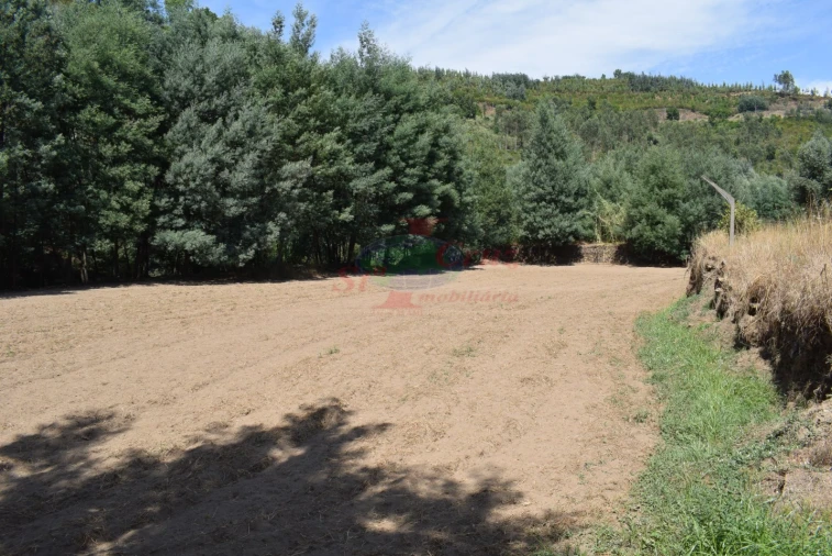 Quinta T2 para Venda em Lavegadas Foto 8