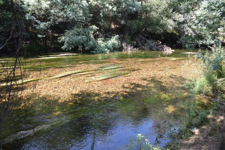 Quinta T2 para Venda em Lavegadas Foto 9
