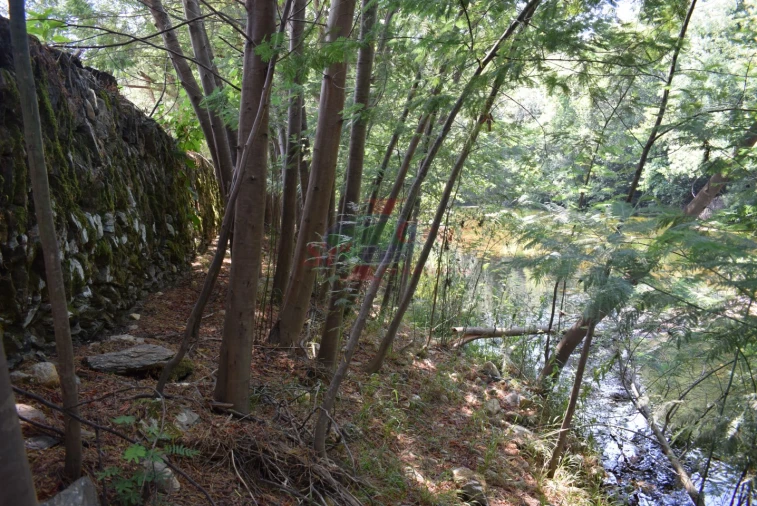 Quinta T2 para Venda em Lavegadas Foto 10