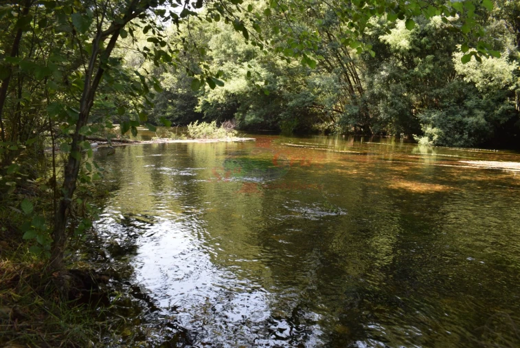 Quinta T2 para Venda em Lavegadas Foto 12