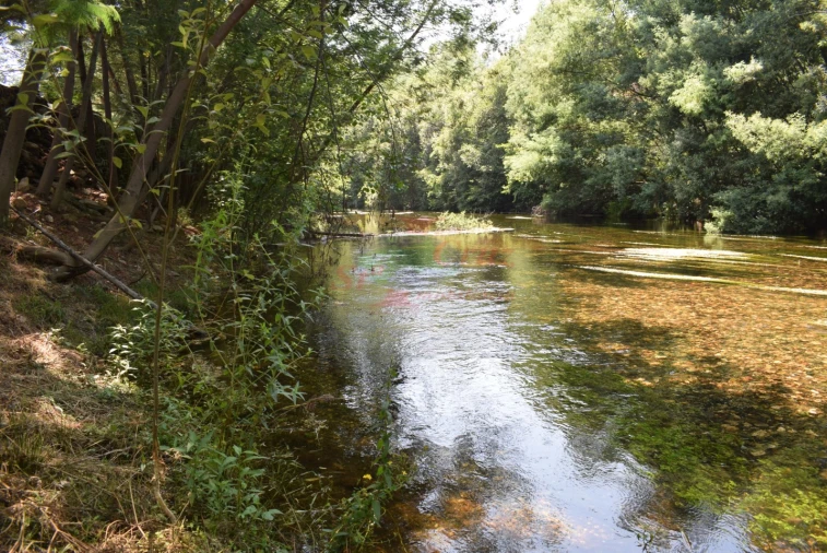 Quinta T2 para Venda em Lavegadas Foto 14