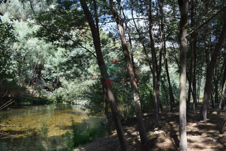 Quinta T2 para Venda em Lavegadas Foto 17