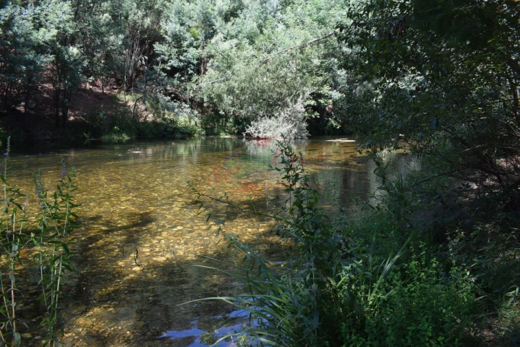 Quinta T2 para Venda em Lavegadas Foto 19