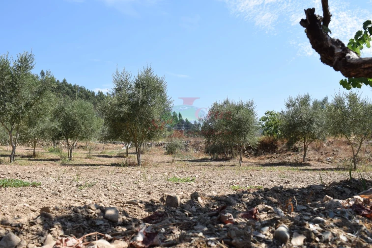 Quinta T2 para Venda em Lavegadas Foto 24