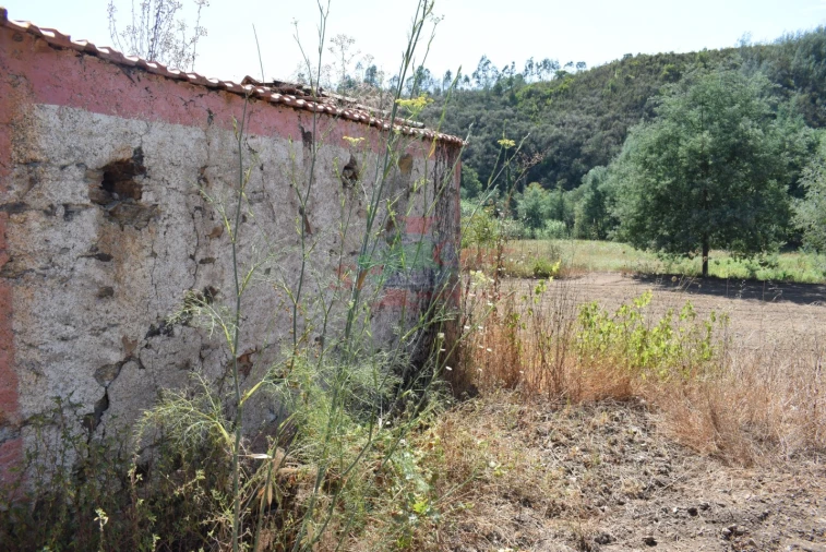Quinta T2 para Venda em Lavegadas Foto 30