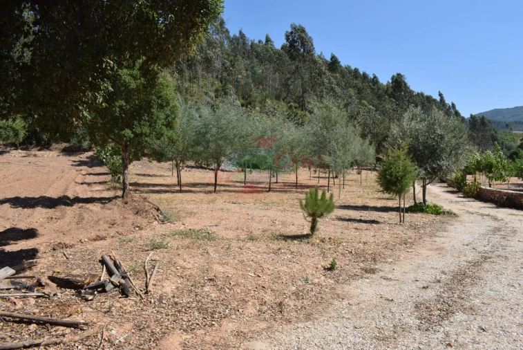 Quinta T2 para Venda em Lavegadas Foto 39