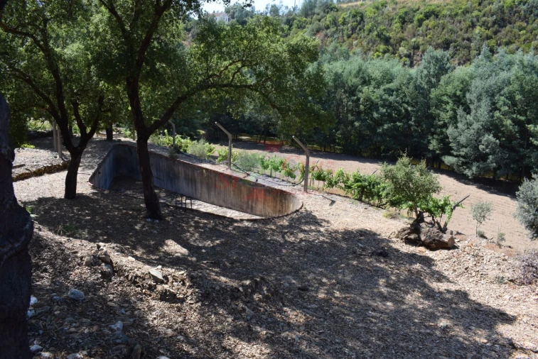 Quinta T2 para Venda em Lavegadas Foto 49